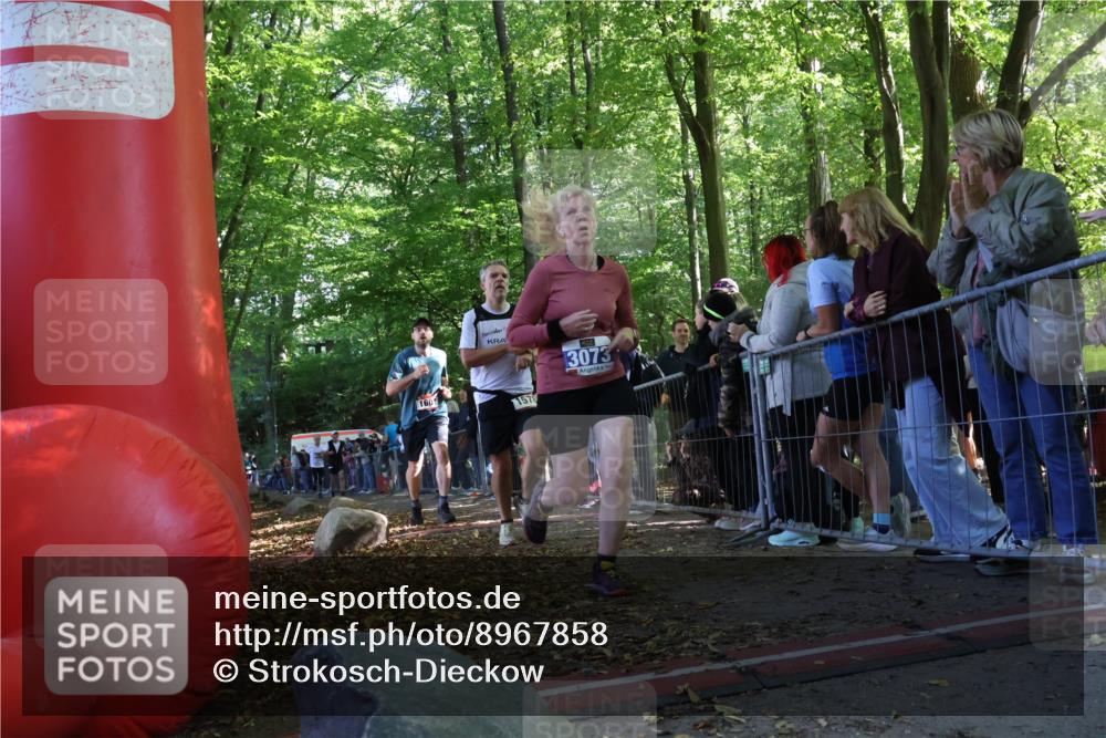 28.09.2025 - 33. Volkslauf durch das schöne Alstertal Strokosch-Dieckow http://msf.ph/oto/8967858 28.09.2025 11:46:03 Ziel 1008, 1564, 1578, 1589, 1601, 3073 meine-sportfotos.de