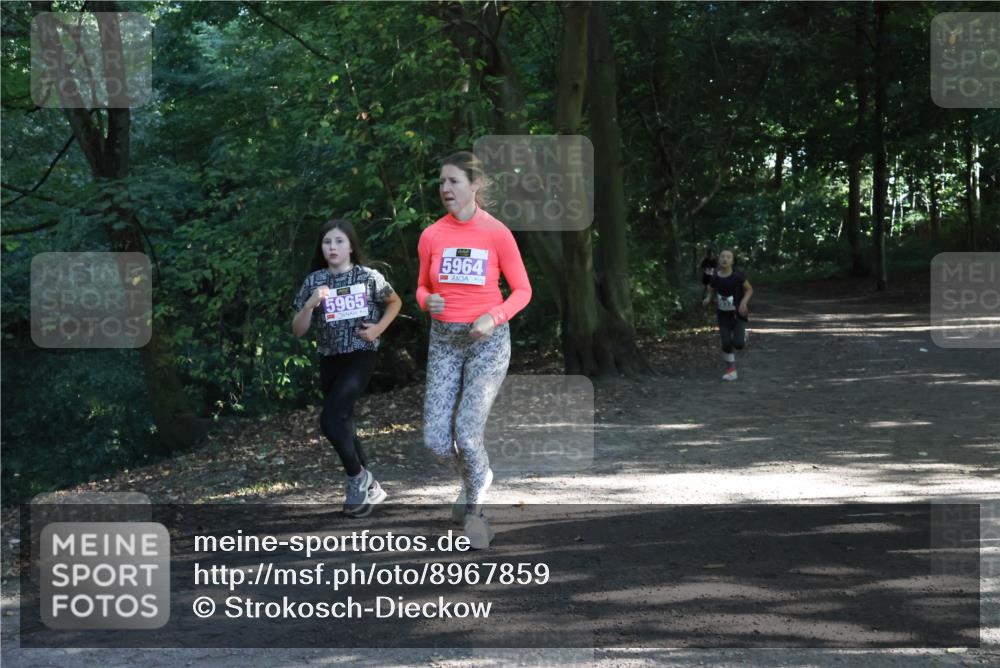 28.09.2025 - 33. Volkslauf durch das schöne Alstertal Strokosch-Dieckow http://msf.ph/oto/8967859 28.09.2025 10:45:31 Laufen 5965, 5964 meine-sportfotos.de