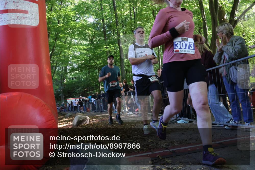 28.09.2025 - 33. Volkslauf durch das schöne Alstertal Strokosch-Dieckow http://msf.ph/oto/8967866 28.09.2025 11:46:04 Ziel 1008, 1564, 1578, 1589, 1601 meine-sportfotos.de