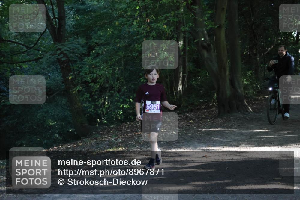 28.09.2025 - 33. Volkslauf durch das schöne Alstertal Strokosch-Dieckow http://msf.ph/oto/8967871 28.09.2025 10:45:42 Laufen 5951 meine-sportfotos.de