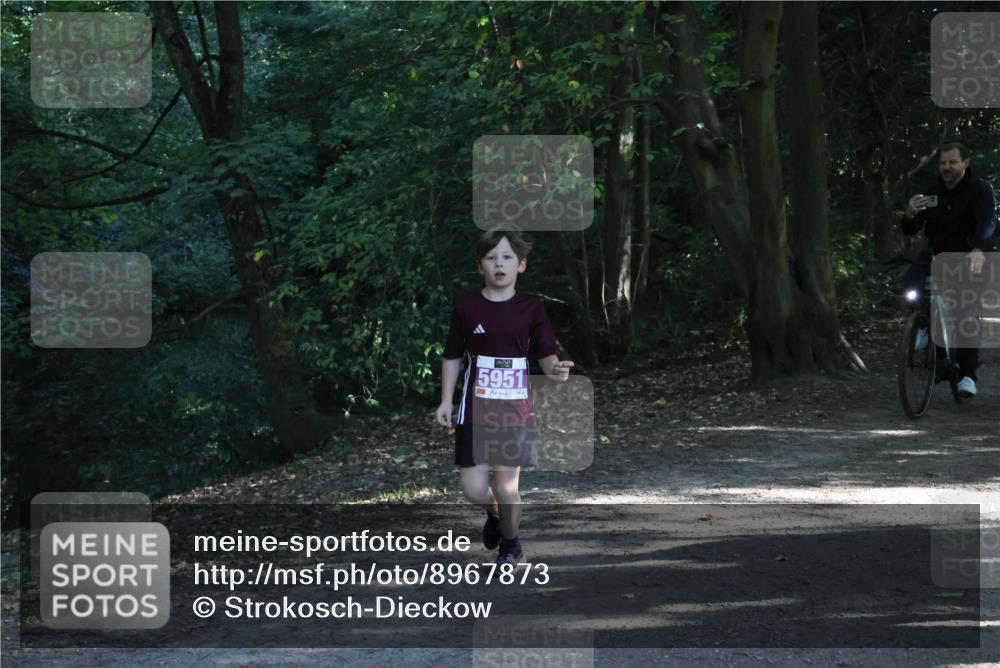 28.09.2025 - 33. Volkslauf durch das schöne Alstertal Strokosch-Dieckow http://msf.ph/oto/8967873 28.09.2025 10:45:42 Laufen 5951 meine-sportfotos.de