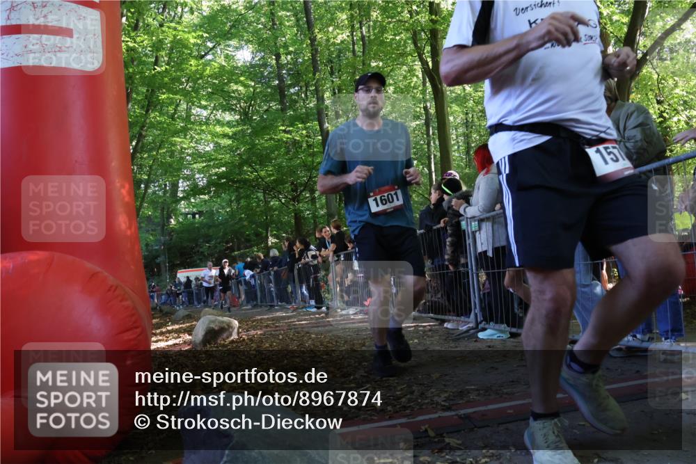 28.09.2025 - 33. Volkslauf durch das schöne Alstertal Strokosch-Dieckow http://msf.ph/oto/8967874 28.09.2025 11:46:04 Ziel 1008, 1564, 1578, 1589, 1601 meine-sportfotos.de