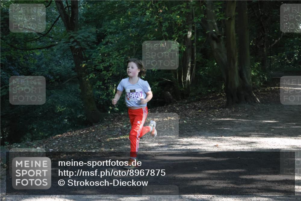 28.09.2025 - 33. Volkslauf durch das schöne Alstertal Strokosch-Dieckow http://msf.ph/oto/8967875 28.09.2025 10:45:47 Laufen 5960 meine-sportfotos.de