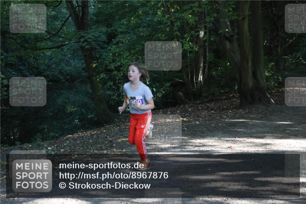 28.09.2025 - 33. Volkslauf durch das schöne Alstertal Strokosch-Dieckow http://msf.ph/oto/8967876 28.09.2025 10:45:47 Laufen 960 meine-sportfotos.de
