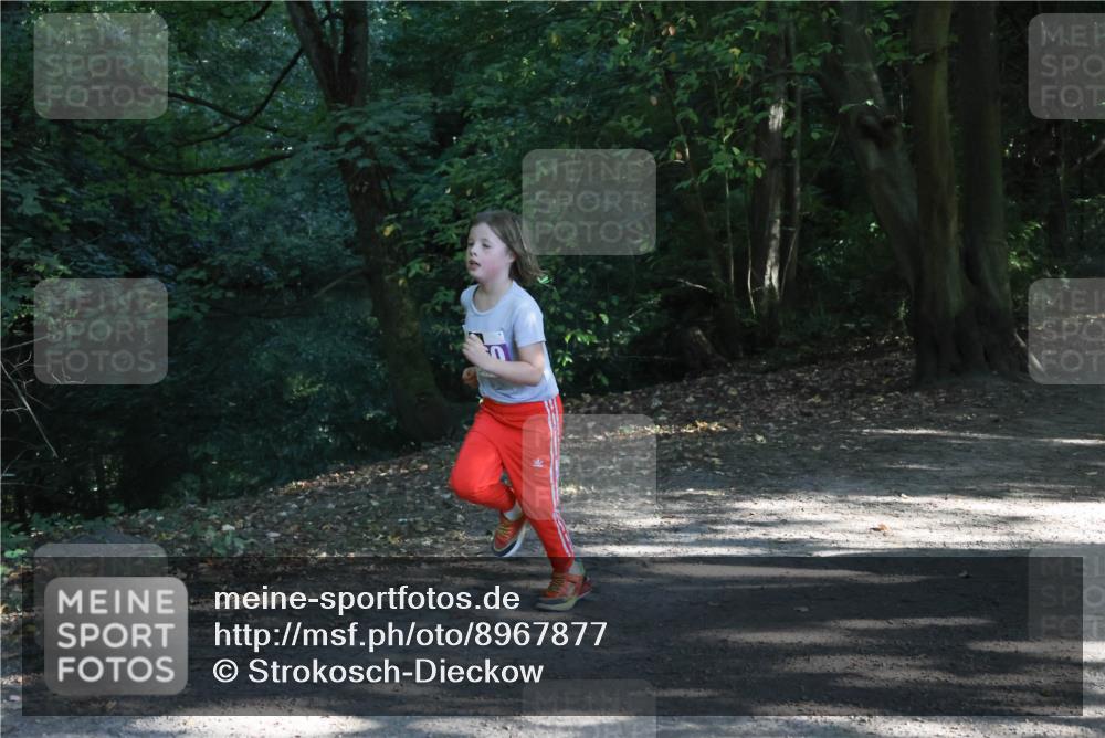 28.09.2025 - 33. Volkslauf durch das schöne Alstertal Strokosch-Dieckow http://msf.ph/oto/8967877 28.09.2025 10:45:47 Laufen  meine-sportfotos.de