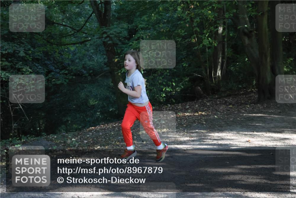 28.09.2025 - 33. Volkslauf durch das schöne Alstertal Strokosch-Dieckow http://msf.ph/oto/8967879 28.09.2025 10:45:47 Laufen  meine-sportfotos.de