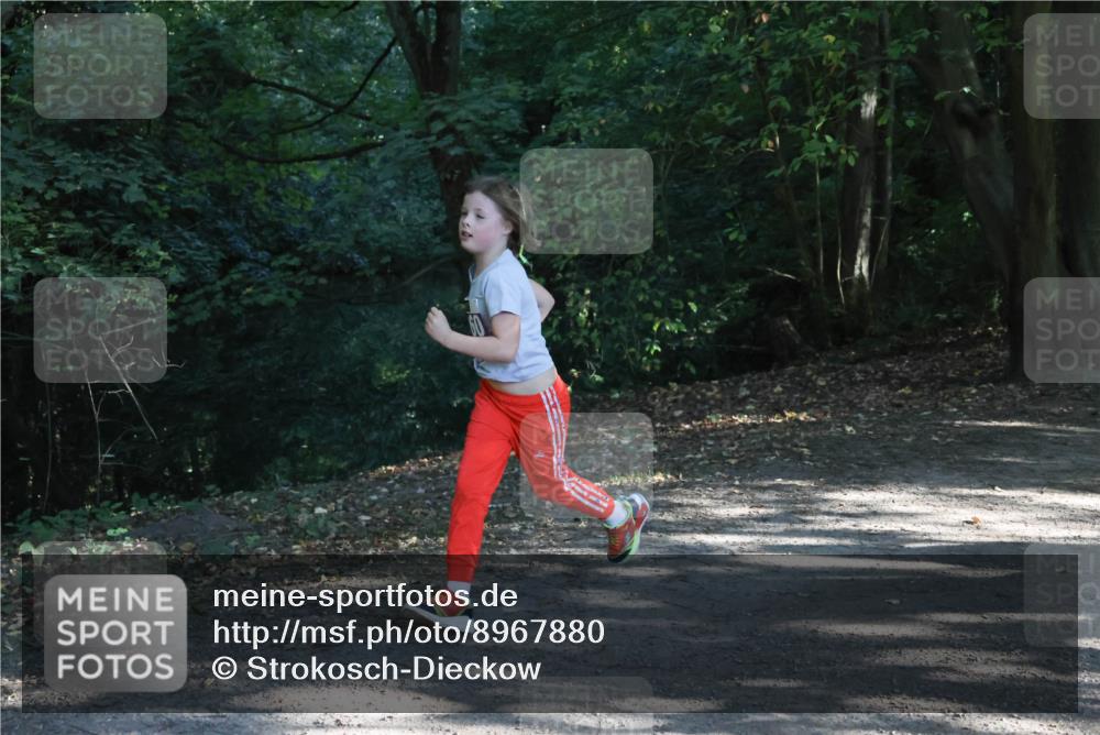 28.09.2025 - 33. Volkslauf durch das schöne Alstertal Strokosch-Dieckow http://msf.ph/oto/8967880 28.09.2025 10:45:47 Laufen  meine-sportfotos.de