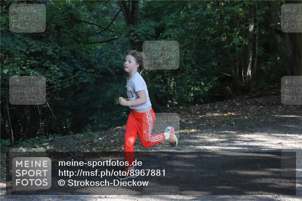 28.09.2025 - 33. Volkslauf durch das schöne Alstertal Strokosch-Dieckow http://msf.ph/oto/8967881 28.09.2025 10:45:47 Laufen  meine-sportfotos.de