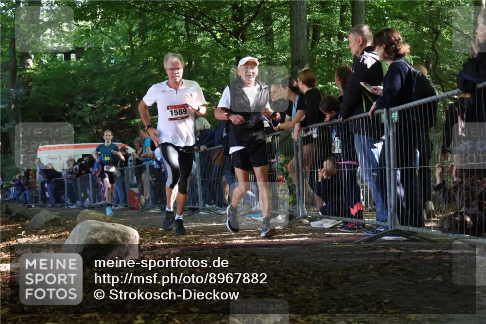 28.09.2025 - 33. Volkslauf durch das schöne Alstertal Strokosch-Dieckow http://msf.ph/oto/8967882 28.09.2025 11:46:07 Ziel 1008, 1564, 1589 meine-sportfotos.de