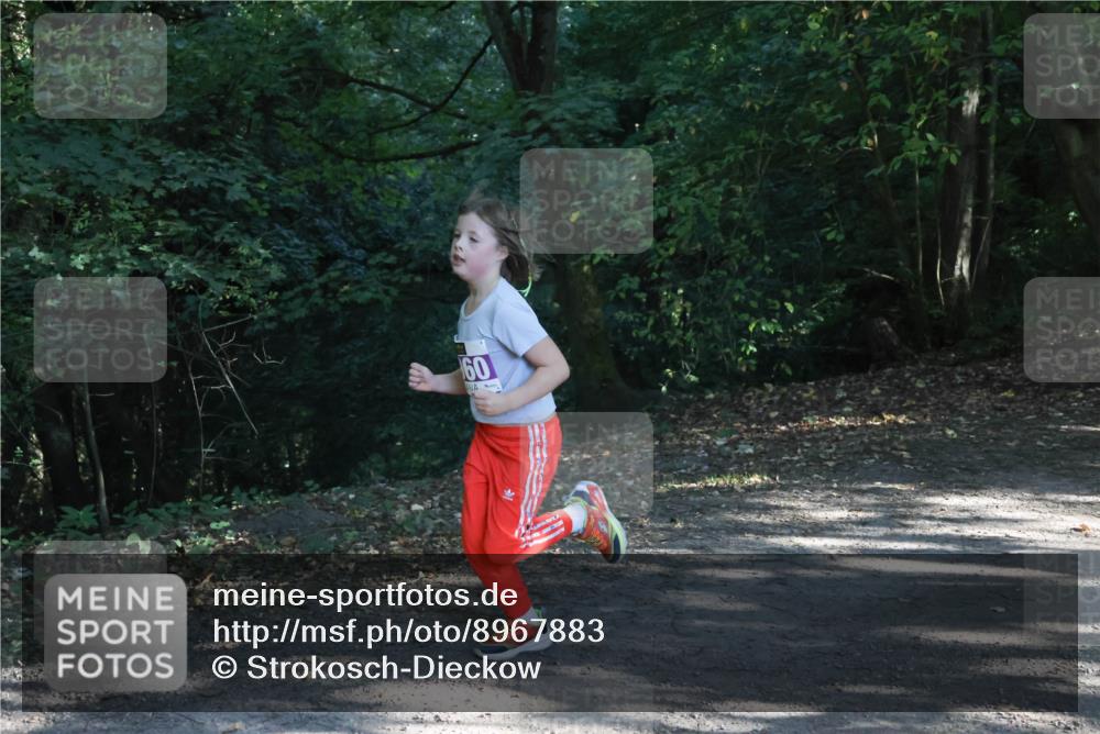 28.09.2025 - 33. Volkslauf durch das schöne Alstertal Strokosch-Dieckow http://msf.ph/oto/8967883 28.09.2025 10:45:47 Laufen 60 meine-sportfotos.de