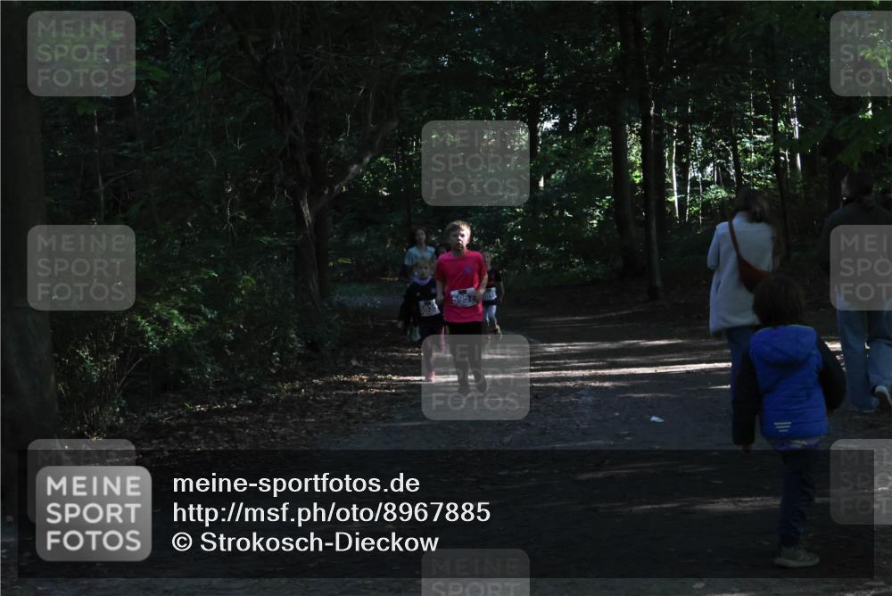 28.09.2025 - 33. Volkslauf durch das schöne Alstertal Strokosch-Dieckow http://msf.ph/oto/8967885 28.09.2025 10:46:03 Laufen 5957 meine-sportfotos.de