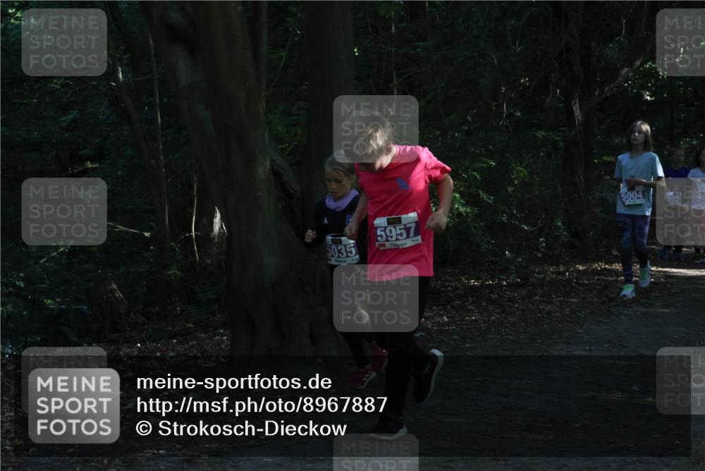28.09.2025 - 33. Volkslauf durch das schöne Alstertal Strokosch-Dieckow http://msf.ph/oto/8967887 28.09.2025 10:46:07 Laufen 5957, 5004, 502, 5035 meine-sportfotos.de