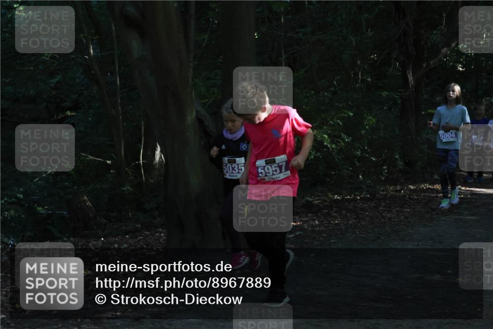 28.09.2025 - 33. Volkslauf durch das schöne Alstertal Strokosch-Dieckow http://msf.ph/oto/8967889 28.09.2025 10:46:07 Laufen 5035, 5957, 5004, 502 meine-sportfotos.de