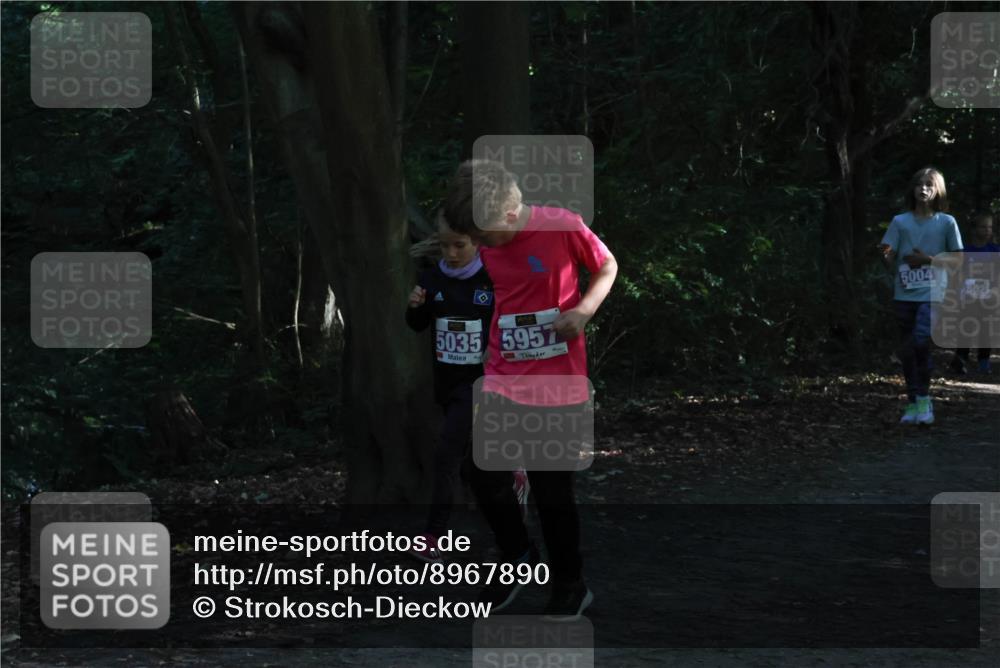 28.09.2025 - 33. Volkslauf durch das schöne Alstertal Strokosch-Dieckow http://msf.ph/oto/8967890 28.09.2025 10:46:07 Laufen 5035, 5957, 5004, 5025 meine-sportfotos.de