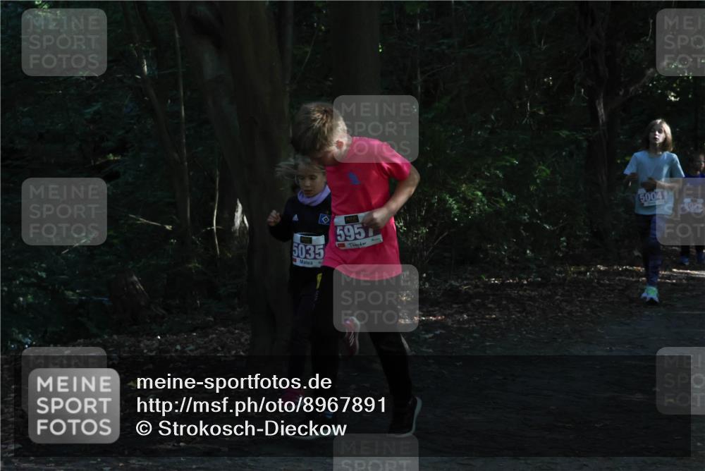 28.09.2025 - 33. Volkslauf durch das schöne Alstertal Strokosch-Dieckow http://msf.ph/oto/8967891 28.09.2025 10:46:07 Laufen 5035, 5957, 5004, 5029 meine-sportfotos.de