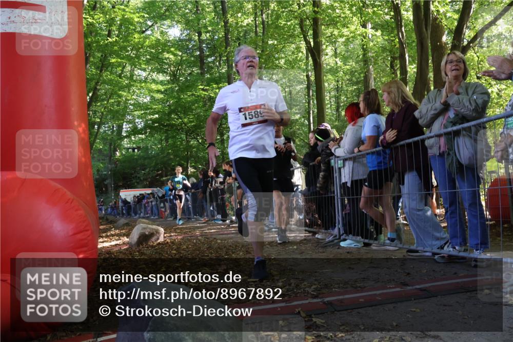 28.09.2025 - 33. Volkslauf durch das schöne Alstertal Strokosch-Dieckow http://msf.ph/oto/8967892 28.09.2025 11:46:09 Ziel 1008, 1564, 1589 meine-sportfotos.de
