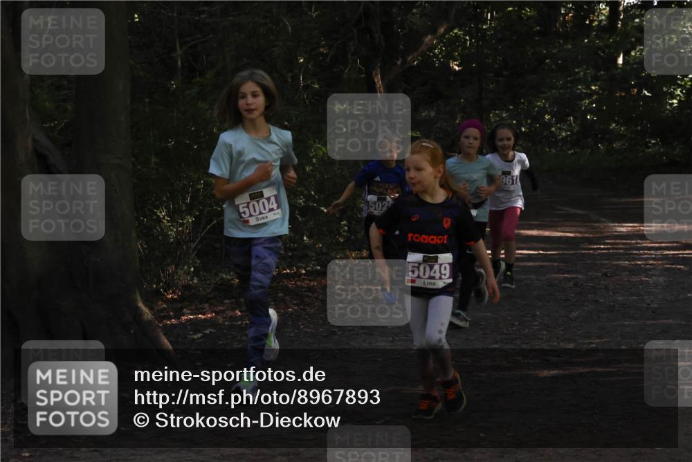 28.09.2025 - 33. Volkslauf durch das schöne Alstertal Strokosch-Dieckow http://msf.ph/oto/8967893 28.09.2025 10:46:09 Laufen 5004, 502, 5049, 961 meine-sportfotos.de