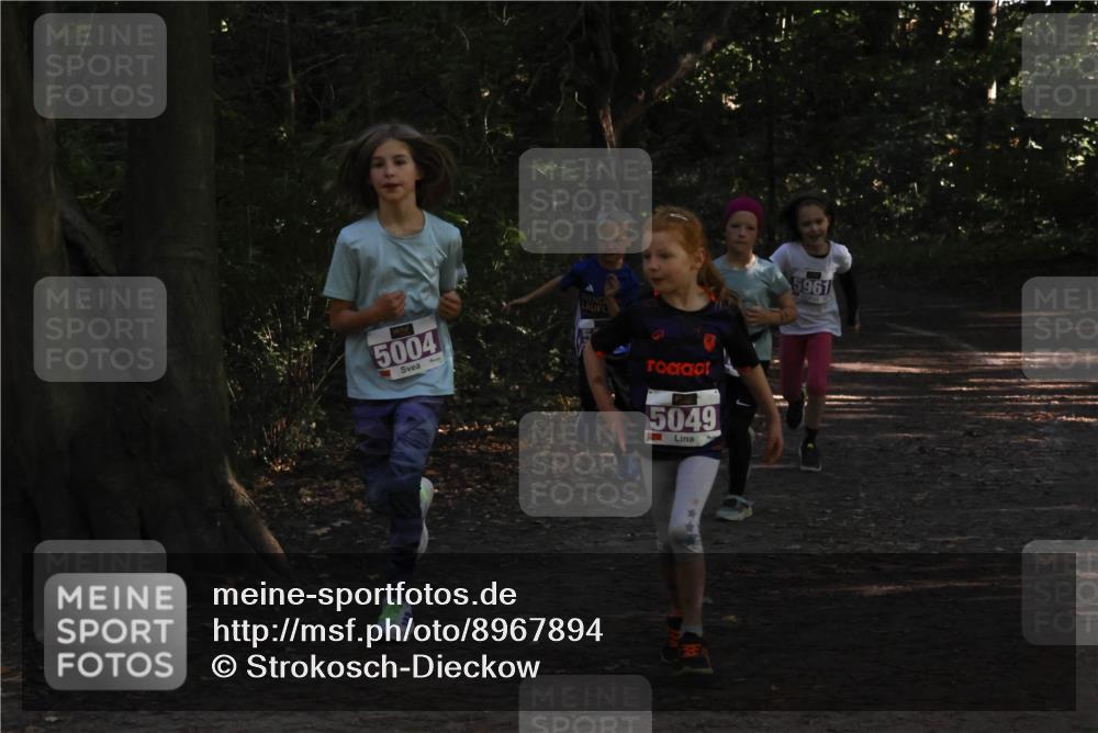 28.09.2025 - 33. Volkslauf durch das schöne Alstertal Strokosch-Dieckow http://msf.ph/oto/8967894 28.09.2025 10:46:09 Laufen 5004, 5049, 5961 meine-sportfotos.de