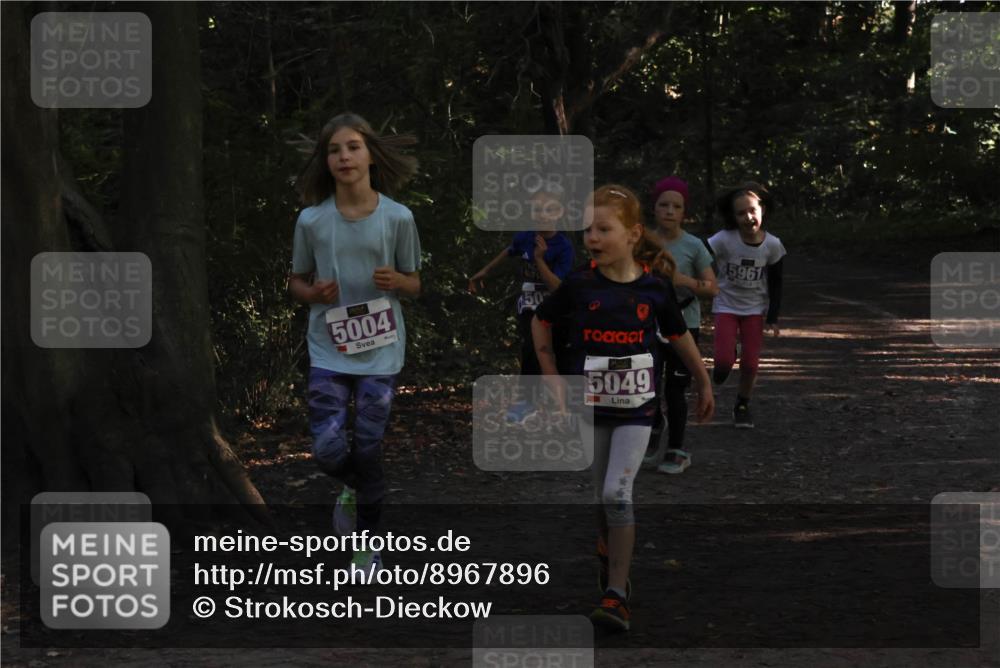 28.09.2025 - 33. Volkslauf durch das schöne Alstertal Strokosch-Dieckow http://msf.ph/oto/8967896 28.09.2025 10:46:09 Laufen 5004, 5049, 5961 meine-sportfotos.de
