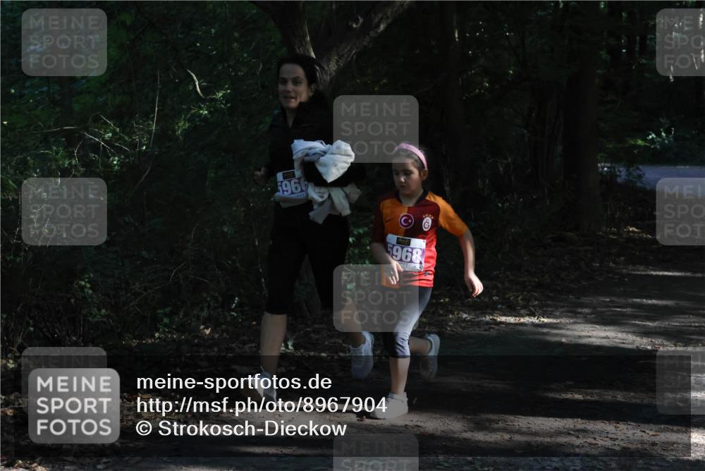 28.09.2025 - 33. Volkslauf durch das schöne Alstertal Strokosch-Dieckow http://msf.ph/oto/8967904 28.09.2025 10:47:04 Laufen 5966, 5968 meine-sportfotos.de