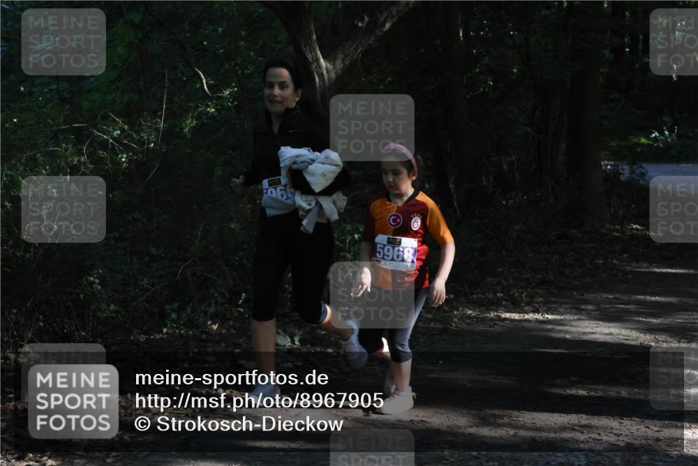 28.09.2025 - 33. Volkslauf durch das schöne Alstertal Strokosch-Dieckow http://msf.ph/oto/8967905 28.09.2025 10:47:05 Laufen 06, 5968 meine-sportfotos.de