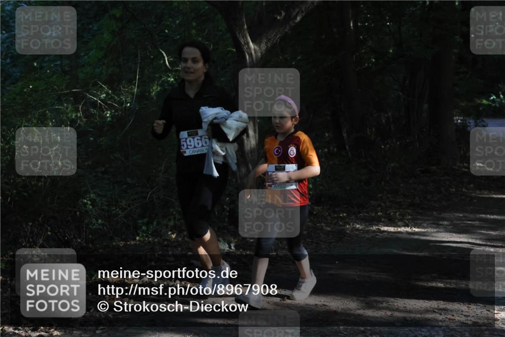 28.09.2025 - 33. Volkslauf durch das schöne Alstertal Strokosch-Dieckow http://msf.ph/oto/8967908 28.09.2025 10:47:05 Laufen 5966 meine-sportfotos.de