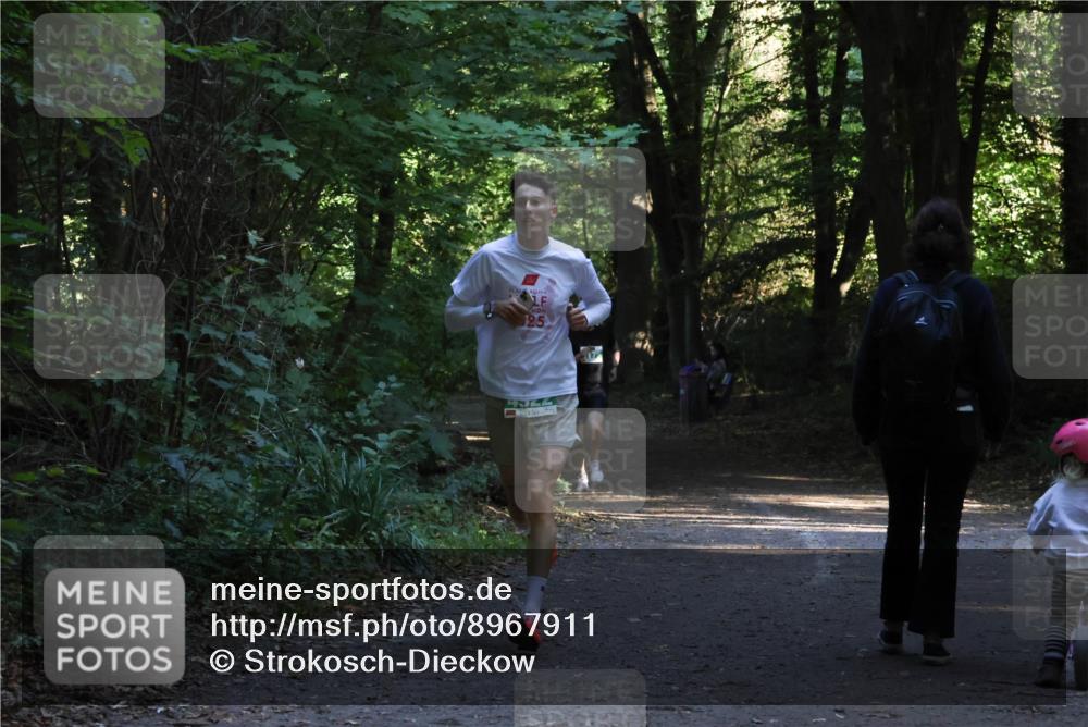 28.09.2025 - 33. Volkslauf durch das schöne Alstertal Strokosch-Dieckow http://msf.ph/oto/8967911 28.09.2025 10:48:27 Laufen 25 meine-sportfotos.de