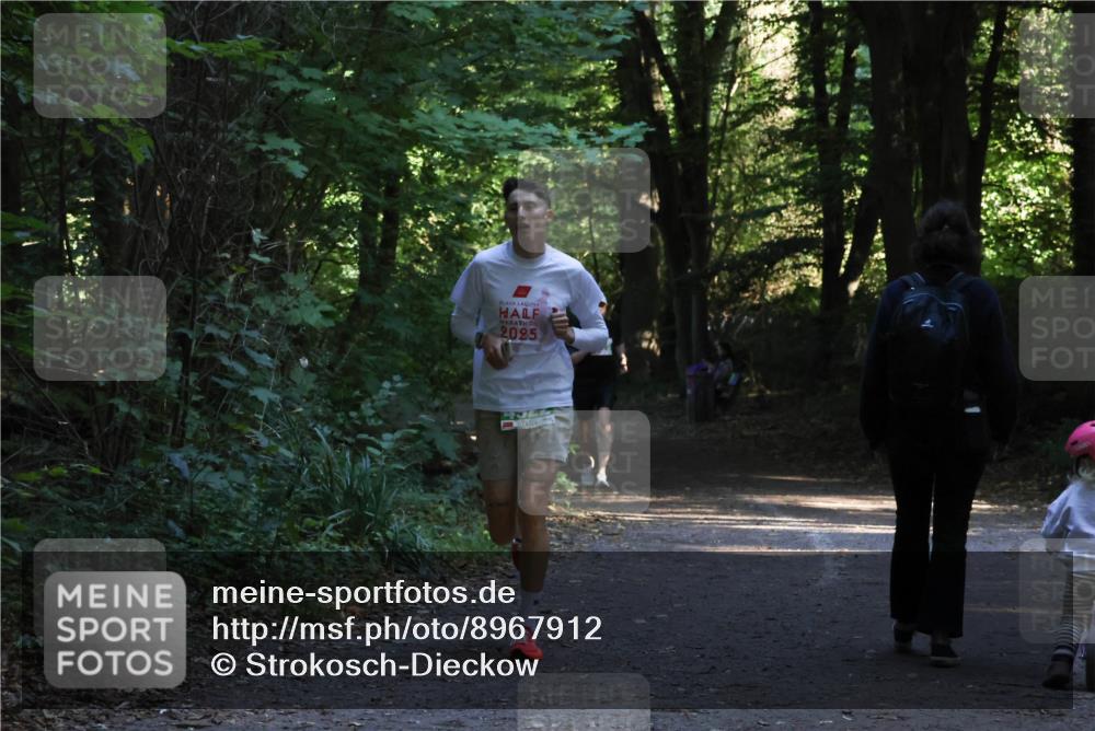 28.09.2025 - 33. Volkslauf durch das schöne Alstertal Strokosch-Dieckow http://msf.ph/oto/8967912 28.09.2025 10:48:27 Laufen 2025 meine-sportfotos.de