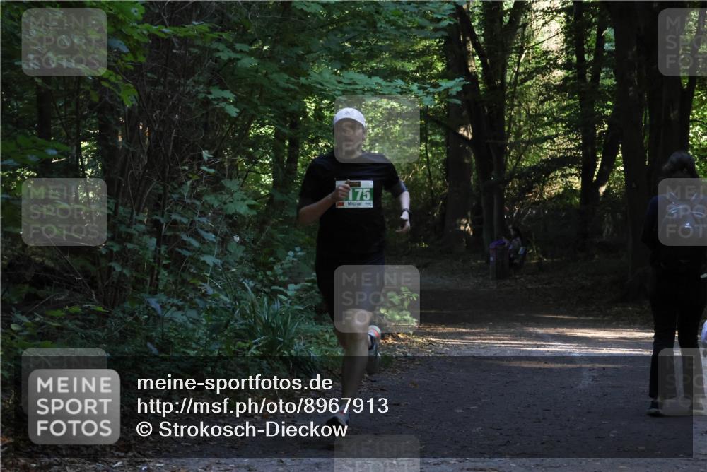 28.09.2025 - 33. Volkslauf durch das schöne Alstertal Strokosch-Dieckow http://msf.ph/oto/8967913 28.09.2025 10:48:31 Laufen 175 meine-sportfotos.de
