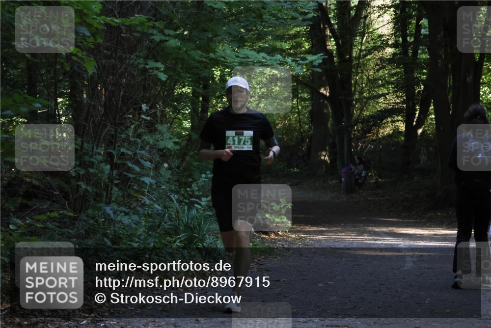 28.09.2025 - 33. Volkslauf durch das schöne Alstertal Strokosch-Dieckow http://msf.ph/oto/8967915 28.09.2025 10:48:31 Laufen 4175 meine-sportfotos.de