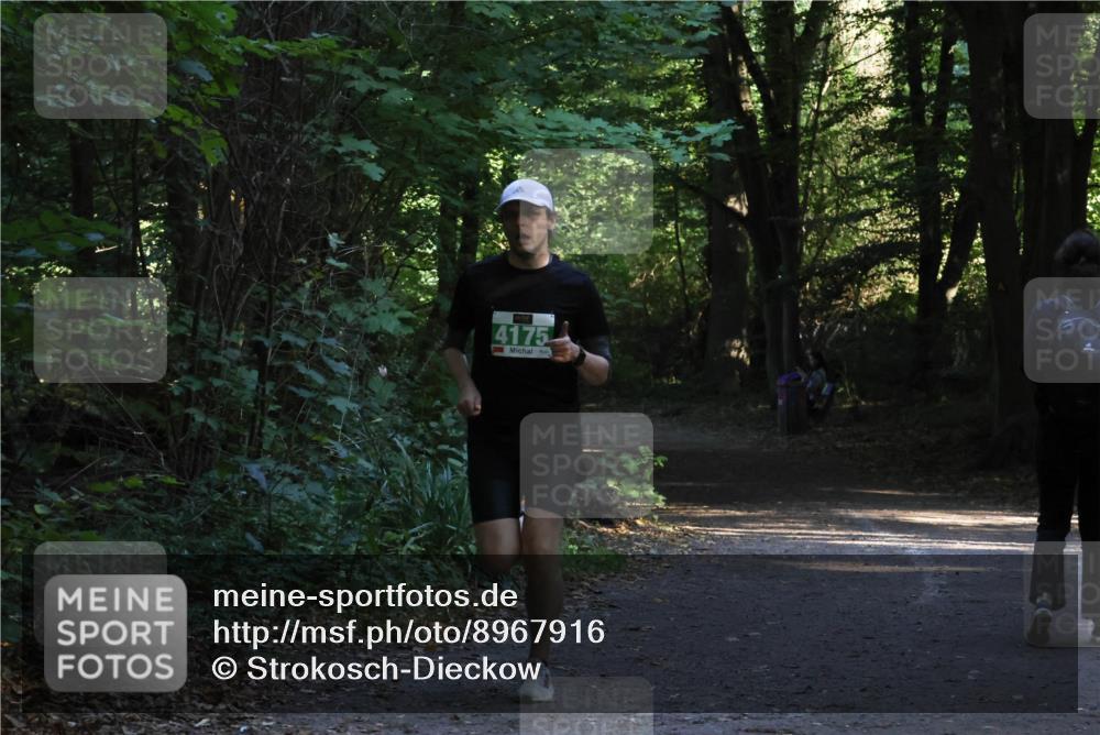 28.09.2025 - 33. Volkslauf durch das schöne Alstertal Strokosch-Dieckow http://msf.ph/oto/8967916 28.09.2025 10:48:31 Laufen 4175 meine-sportfotos.de