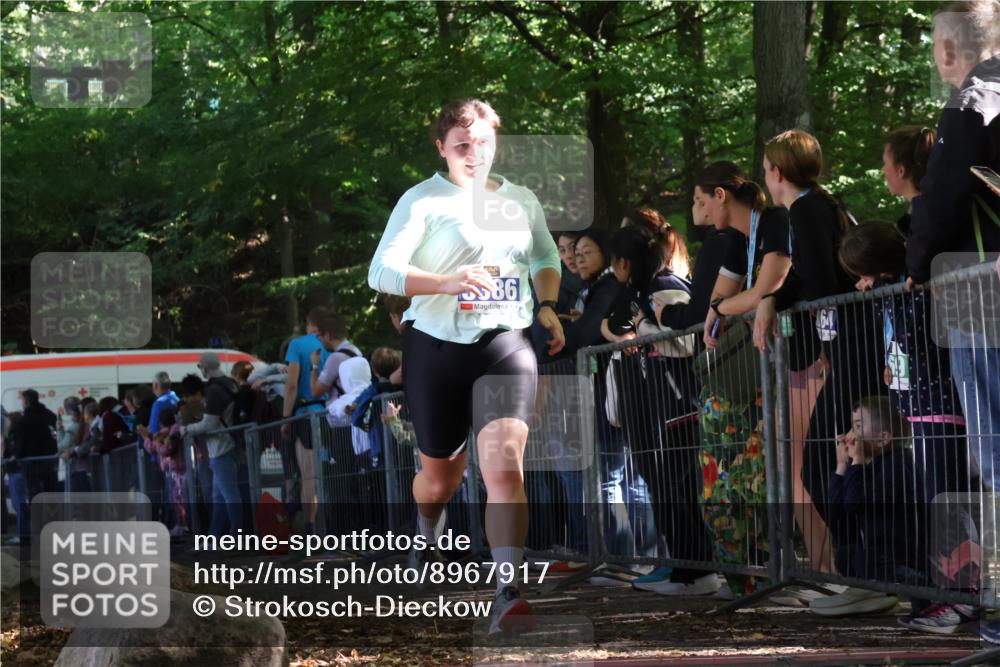 28.09.2025 - 33. Volkslauf durch das schöne Alstertal Strokosch-Dieckow http://msf.ph/oto/8967917 28.09.2025 11:46:19 Ziel 3386 meine-sportfotos.de