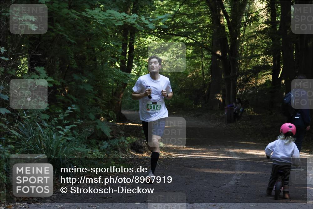 28.09.2025 - 33. Volkslauf durch das schöne Alstertal Strokosch-Dieckow http://msf.ph/oto/8967919 28.09.2025 10:48:47 Laufen 4114 meine-sportfotos.de