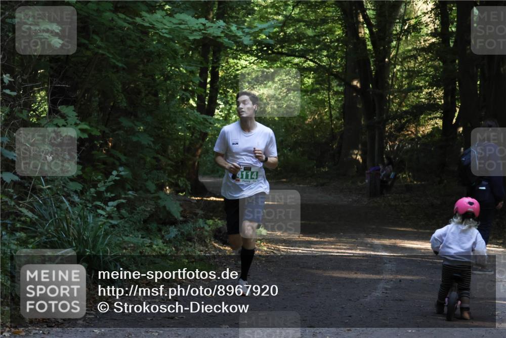 28.09.2025 - 33. Volkslauf durch das schöne Alstertal Strokosch-Dieckow http://msf.ph/oto/8967920 28.09.2025 10:48:48 Laufen 4114 meine-sportfotos.de