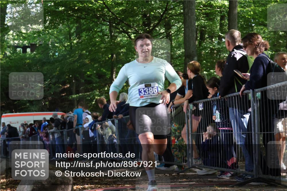 28.09.2025 - 33. Volkslauf durch das schöne Alstertal Strokosch-Dieckow http://msf.ph/oto/8967921 28.09.2025 11:46:19 Ziel 3386 meine-sportfotos.de
