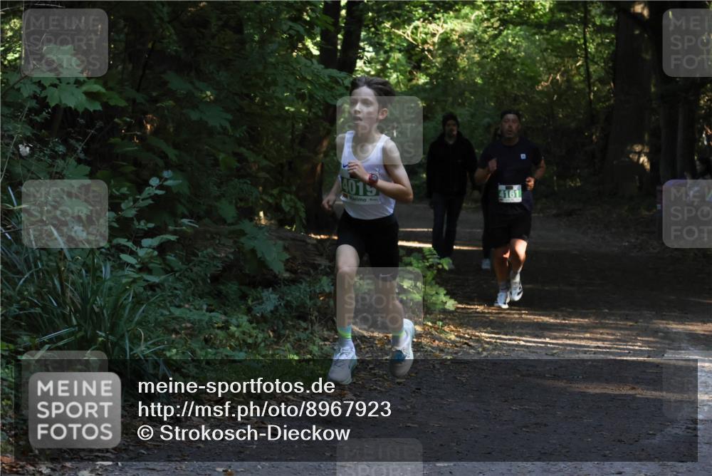 28.09.2025 - 33. Volkslauf durch das schöne Alstertal Strokosch-Dieckow http://msf.ph/oto/8967923 28.09.2025 10:48:59 Laufen 4015, 4161 meine-sportfotos.de