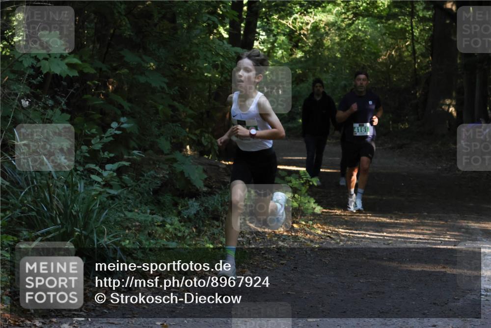 28.09.2025 - 33. Volkslauf durch das schöne Alstertal Strokosch-Dieckow http://msf.ph/oto/8967924 28.09.2025 10:48:59 Laufen 4161 meine-sportfotos.de