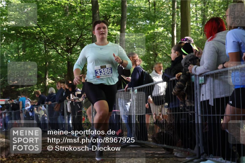 28.09.2025 - 33. Volkslauf durch das schöne Alstertal Strokosch-Dieckow http://msf.ph/oto/8967925 28.09.2025 11:46:20 Ziel 3386 meine-sportfotos.de