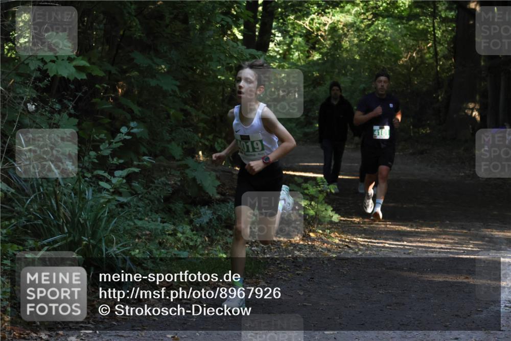 28.09.2025 - 33. Volkslauf durch das schöne Alstertal Strokosch-Dieckow http://msf.ph/oto/8967926 28.09.2025 10:48:59 Laufen 019, 4101 meine-sportfotos.de