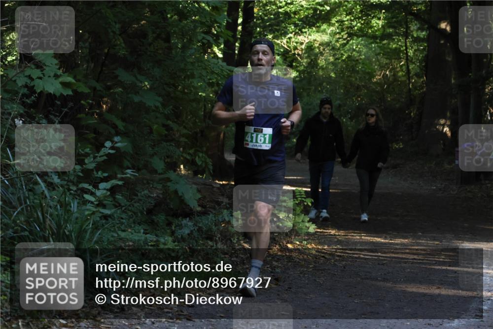 28.09.2025 - 33. Volkslauf durch das schöne Alstertal Strokosch-Dieckow http://msf.ph/oto/8967927 28.09.2025 10:49:01 Laufen 4161 meine-sportfotos.de