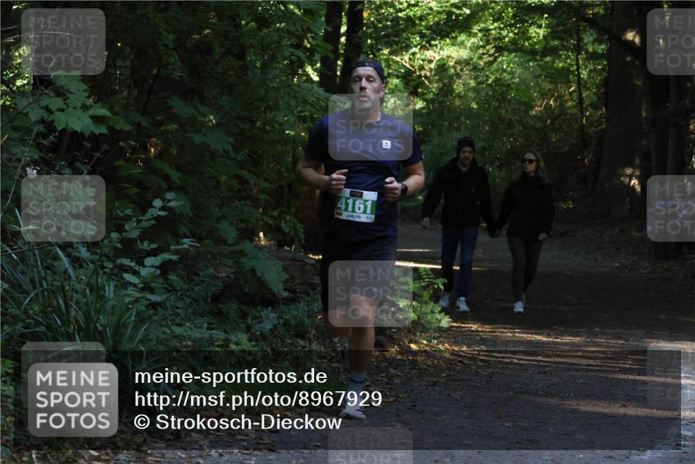 28.09.2025 - 33. Volkslauf durch das schöne Alstertal Strokosch-Dieckow http://msf.ph/oto/8967929 28.09.2025 10:49:01 Laufen 4161 meine-sportfotos.de