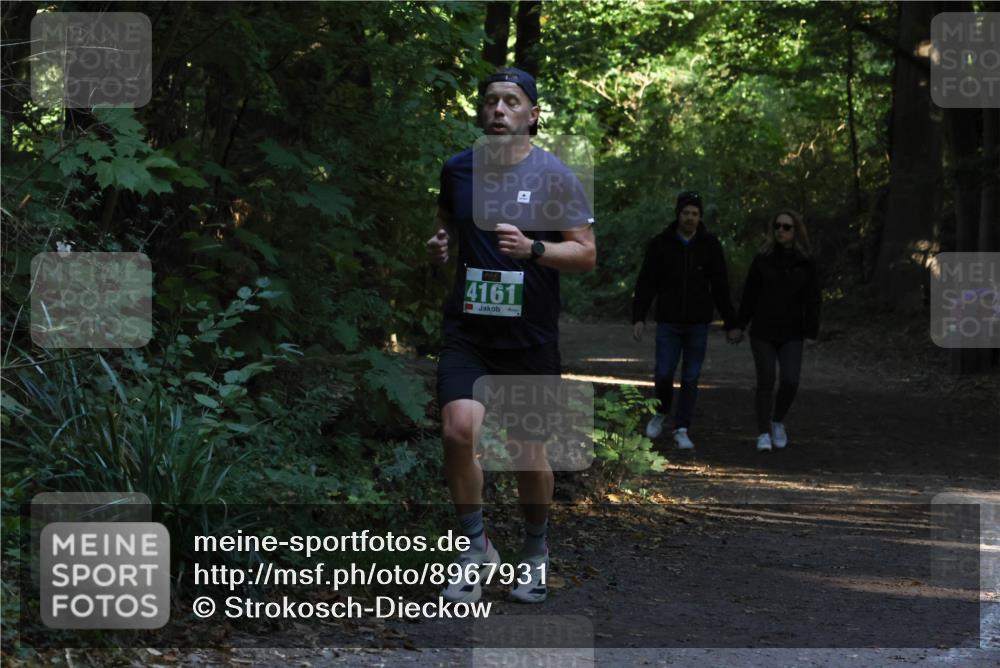 28.09.2025 - 33. Volkslauf durch das schöne Alstertal Strokosch-Dieckow http://msf.ph/oto/8967931 28.09.2025 10:49:02 Laufen 4161 meine-sportfotos.de