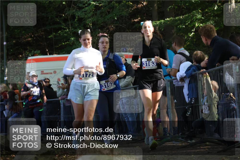 28.09.2025 - 33. Volkslauf durch das schöne Alstertal Strokosch-Dieckow http://msf.ph/oto/8967932 28.09.2025 11:46:36 Ziel 2455, 3153, 3162, 3163, 3172 meine-sportfotos.de