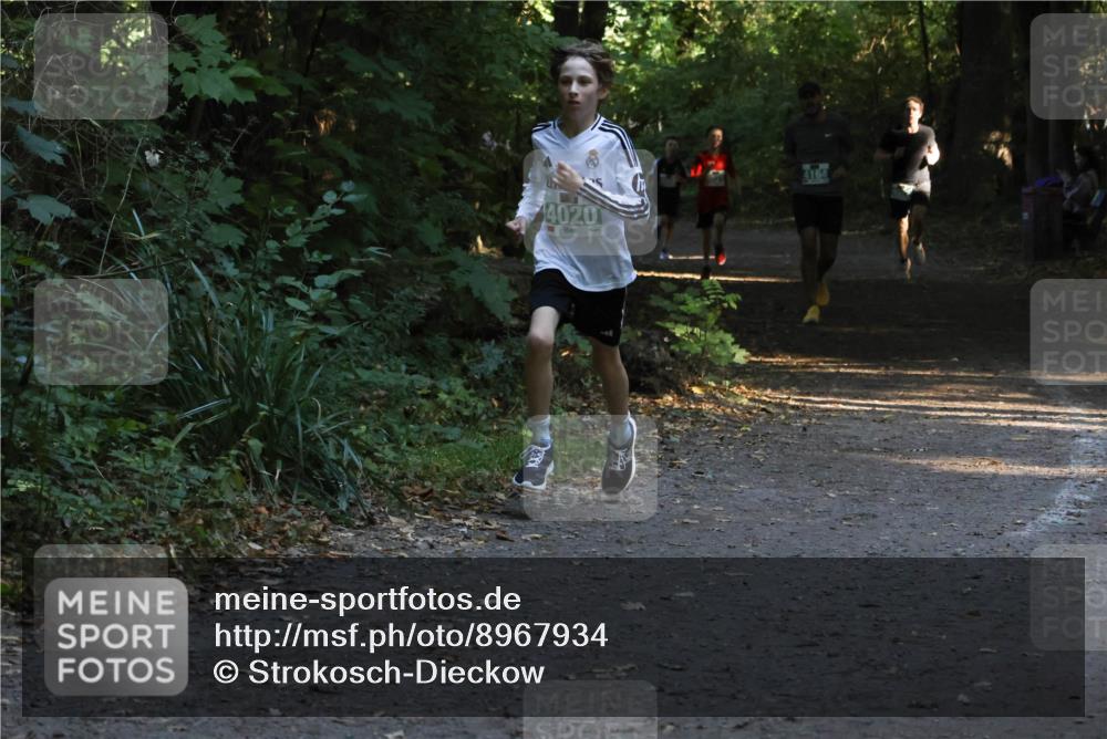 28.09.2025 - 33. Volkslauf durch das schöne Alstertal Strokosch-Dieckow http://msf.ph/oto/8967934 28.09.2025 10:49:21 Laufen 4020, 4164 meine-sportfotos.de