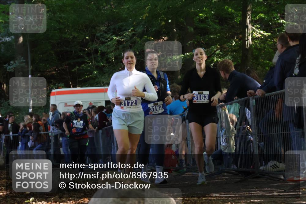 28.09.2025 - 33. Volkslauf durch das schöne Alstertal Strokosch-Dieckow http://msf.ph/oto/8967935 28.09.2025 11:46:37 Ziel 2455, 3153, 3162, 3163, 3172 meine-sportfotos.de