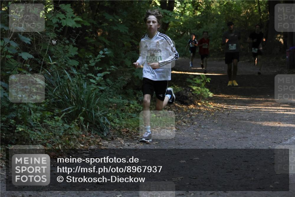 28.09.2025 - 33. Volkslauf durch das schöne Alstertal Strokosch-Dieckow http://msf.ph/oto/8967937 28.09.2025 10:49:21 Laufen 4020, 4164 meine-sportfotos.de