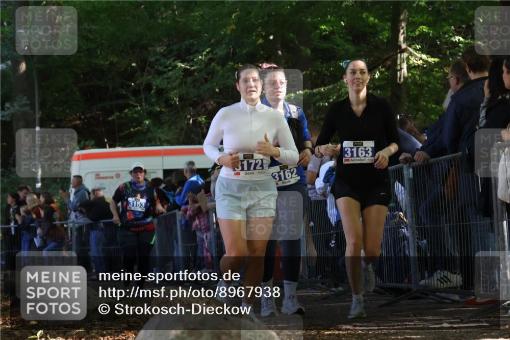 28.09.2025 - 33. Volkslauf durch das schöne Alstertal Strokosch-Dieckow http://msf.ph/oto/8967938 28.09.2025 11:46:37 Ziel 2455, 3153, 3162, 3163, 3172 meine-sportfotos.de
