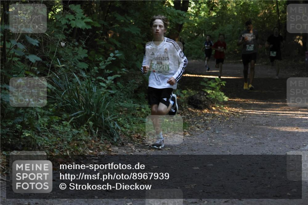 28.09.2025 - 33. Volkslauf durch das schöne Alstertal Strokosch-Dieckow http://msf.ph/oto/8967939 28.09.2025 10:49:21 Laufen 4020, 1164 meine-sportfotos.de