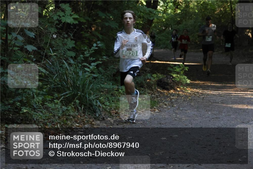 28.09.2025 - 33. Volkslauf durch das schöne Alstertal Strokosch-Dieckow http://msf.ph/oto/8967940 28.09.2025 10:49:21 Laufen 4020 meine-sportfotos.de