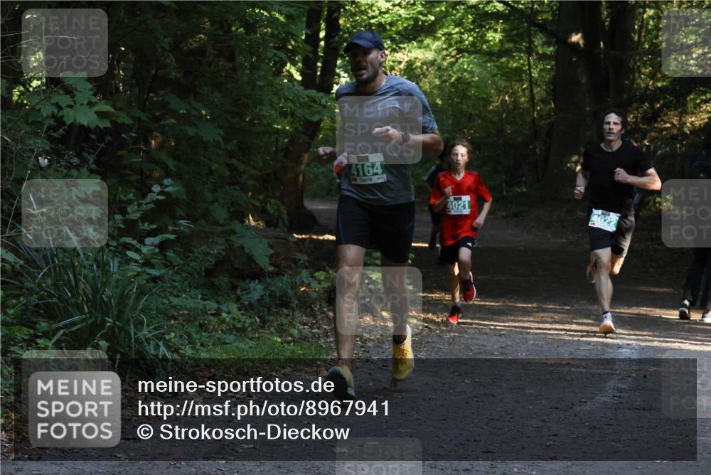 28.09.2025 - 33. Volkslauf durch das schöne Alstertal Strokosch-Dieckow http://msf.ph/oto/8967941 28.09.2025 10:49:25 Laufen 4164, 4021, 4022 meine-sportfotos.de